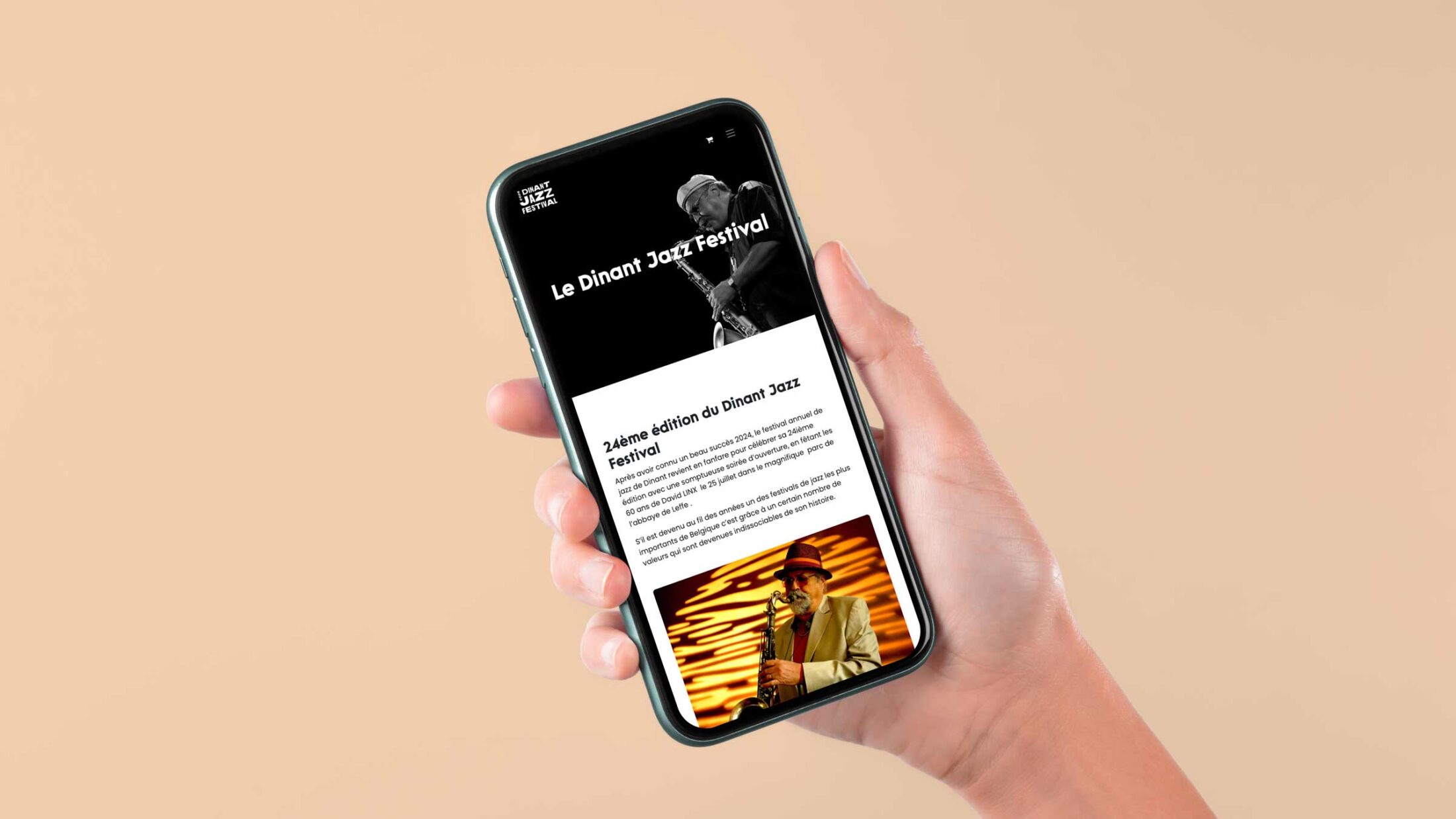 Dinant Jazz Festival Website
