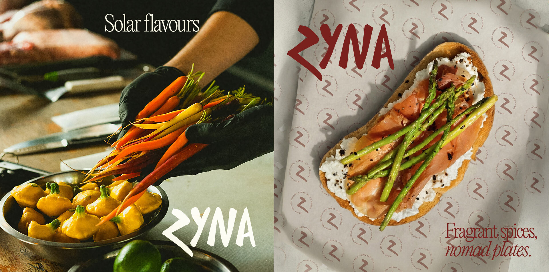 Zyna charte graphique