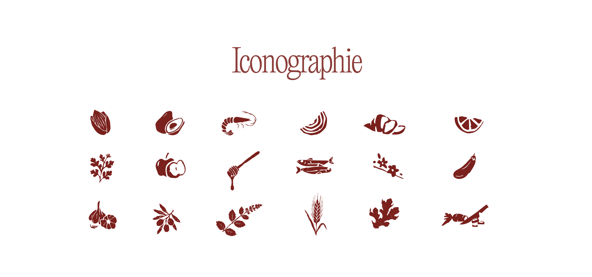Zyna charte graphique